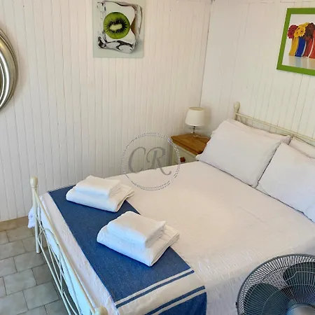 Maison Avec Piscine Les Mimosas *