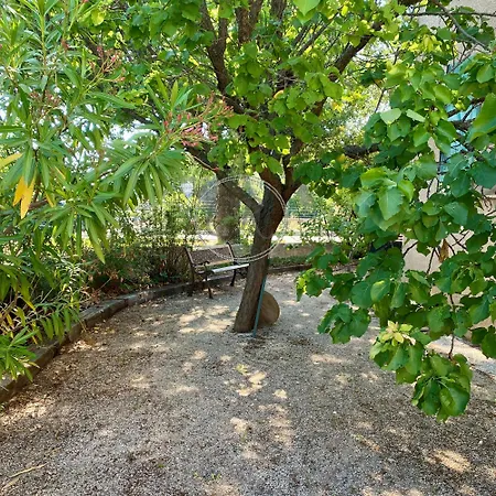Maison Avec Piscine Les Mimosas *